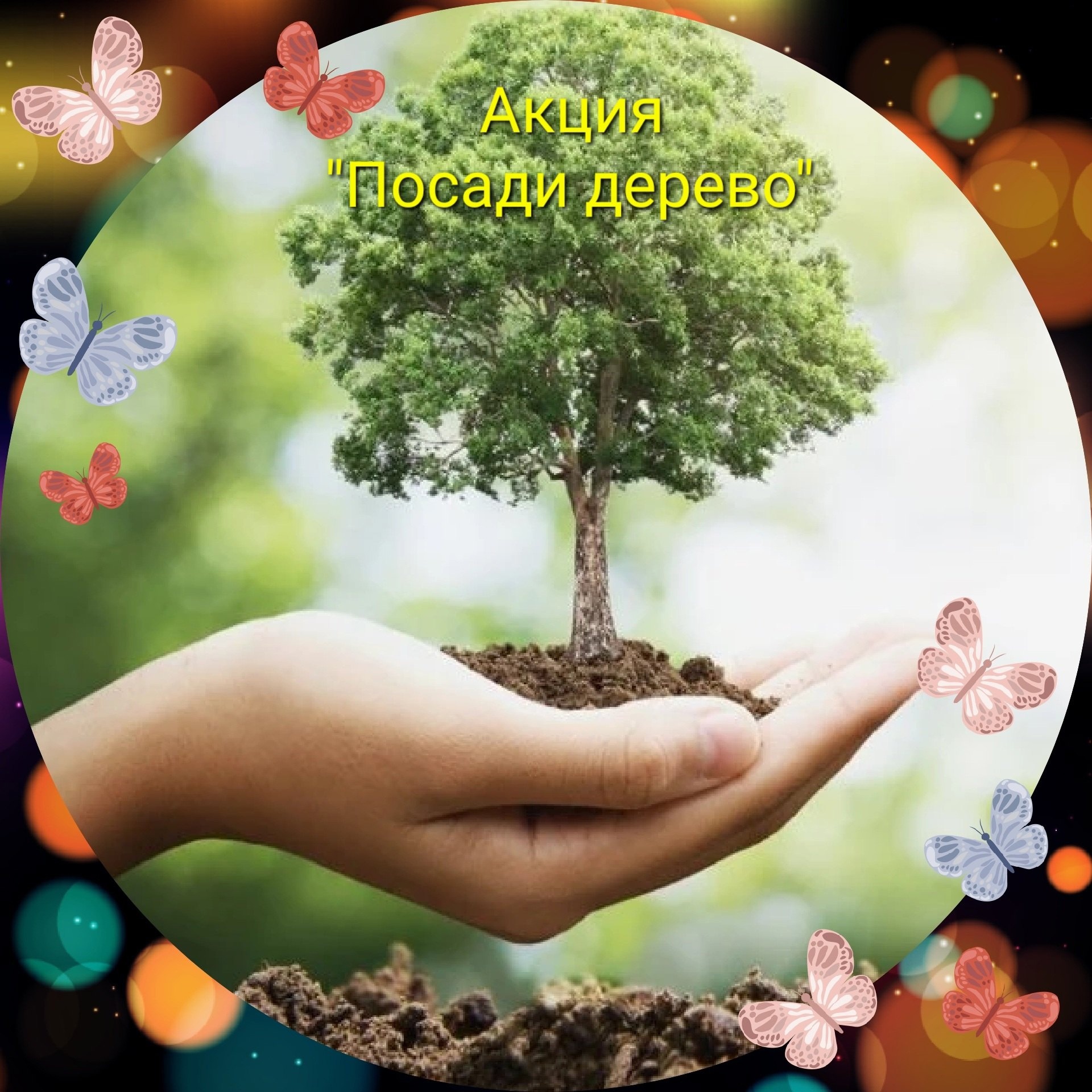 Акция "Посади дерево".